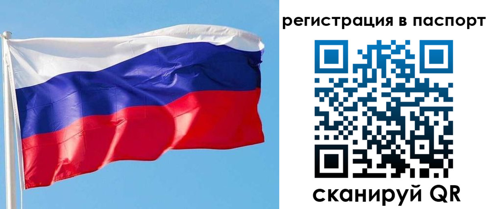 прописка законно в Зеленоградске