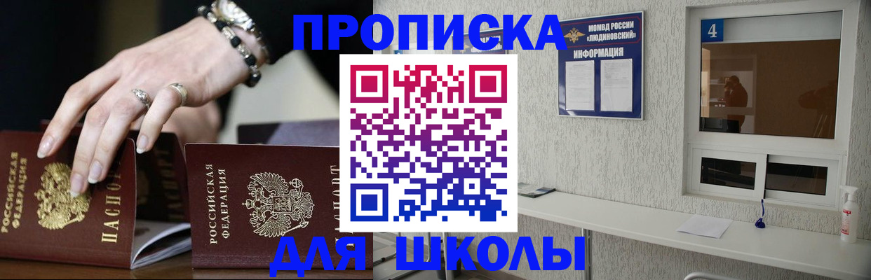 пропишу в квартире в Зеленоградске